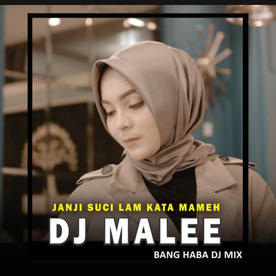 DJ Malee (Remix Aceh)'s cover