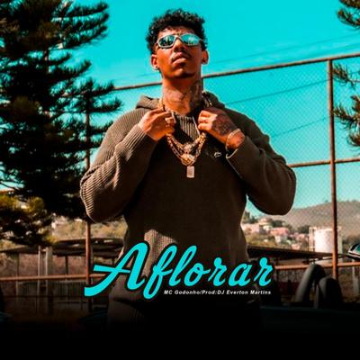 Aflorar By MC Godonho, Dj Everton Martins's cover