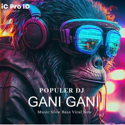 DJ Gani Gani - Music Slow Bass Paling Enak Buat Santai (Remix)'s cover