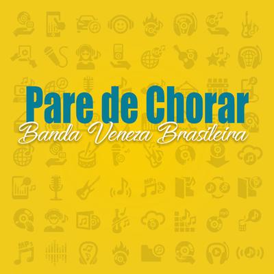 Banda Veneza Brasileira's cover