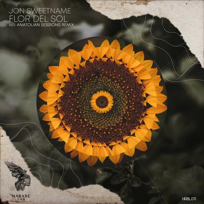 Blood & Fire (Anatolian Sessions Remix) By Jon Sweetname, Anatolian Sessions's cover