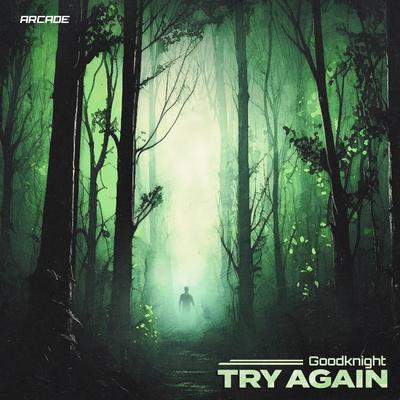 Try Again By Goodknight.'s cover