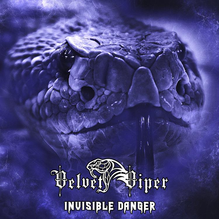 Velvet Viper's avatar image