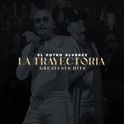 Gozadera By El Potro Álvarez, Don Omar, Yandel, Wisin's cover