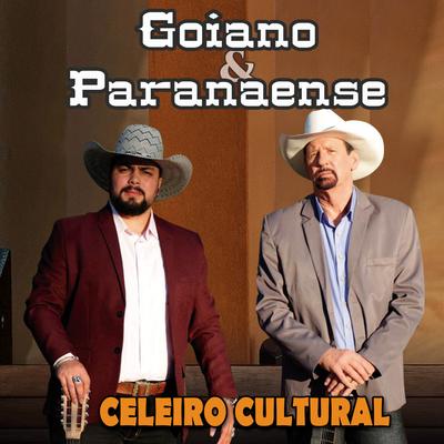 No Ponteio da Viola By Goiano & Paranaense's cover
