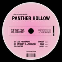 Panther Hollow's avatar cover