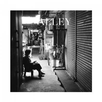 Alley By Vincent Rayn's cover