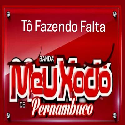 Tô Fazendo Falta By Banda Meu Xodó De Pernambuco's cover