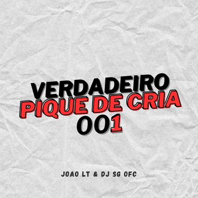 VERDADEIRO PIQUE DE CRIA 001's cover