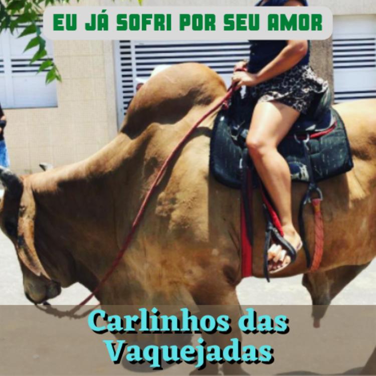 Carlinhos das Vaquejadas's avatar image