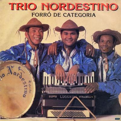 Forró de Categoria By Trio Nordestino's cover