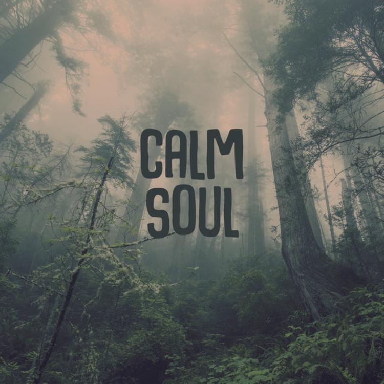 Music to Calm the Soul's avatar image