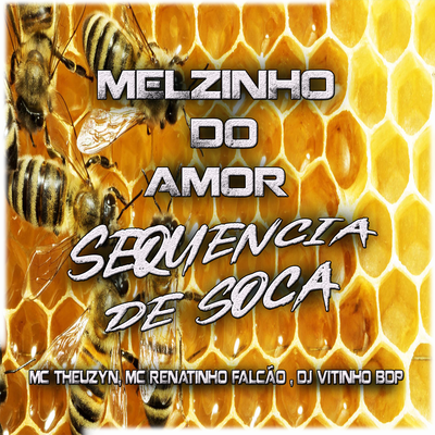 Melzinho do Amor - Sequencia de Soca By DJ VITINHO BDP, キッサコ, MC Renatinho Falcão's cover