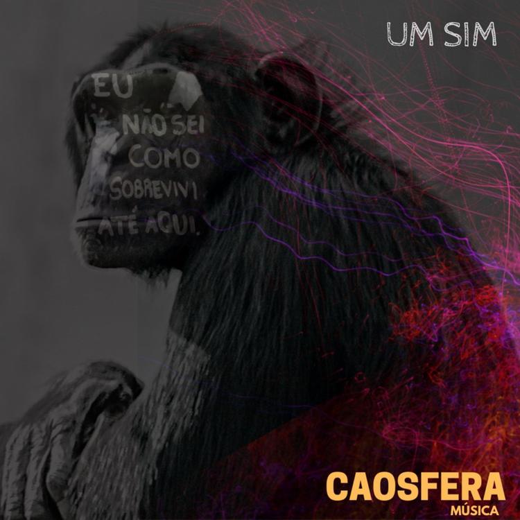 Caosfera Música's avatar image