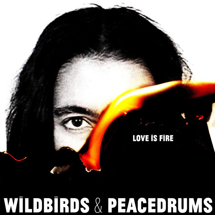 Wildbirds & Peacedrums's avatar image