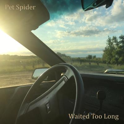 Pet Spider's cover