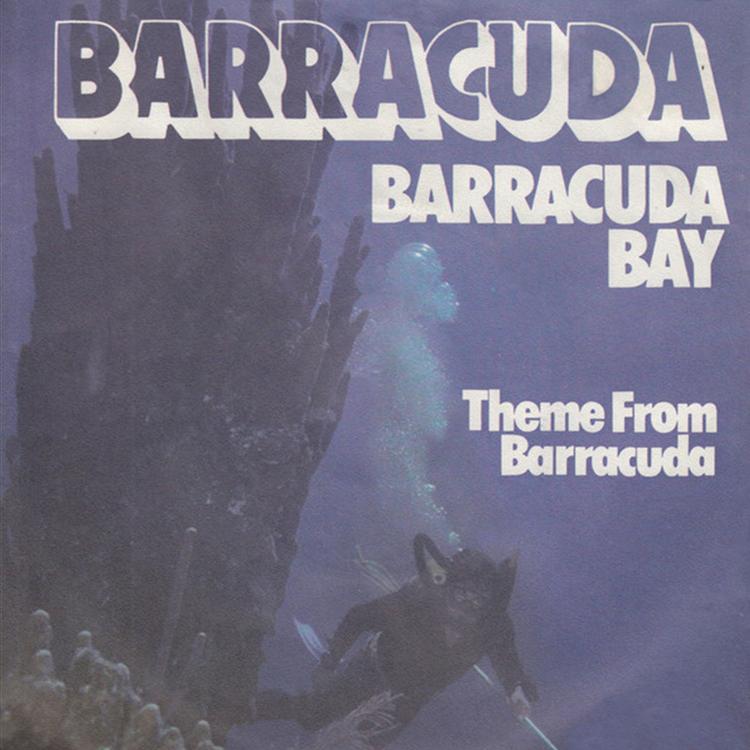 Barracuda's avatar image