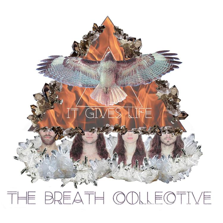 The Breath Collective's avatar image