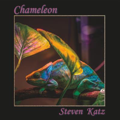 Steven Katz's cover