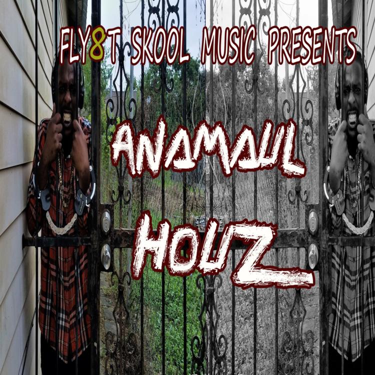 Anamaul's avatar image