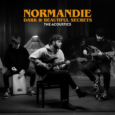 Chemicals (Acoustic Version) By Normandie's cover