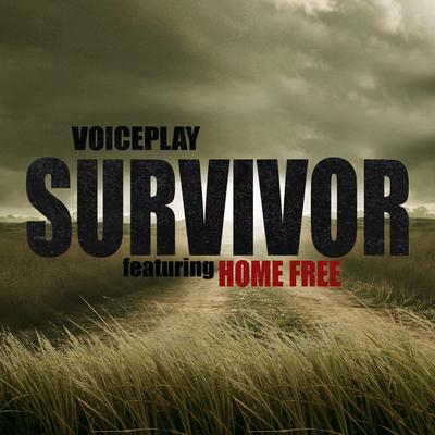 Survivor (feat. Home Free) By VoicePlay, Home Free's cover