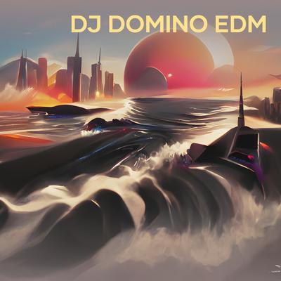 Dj Domino Edm (Remix)'s cover