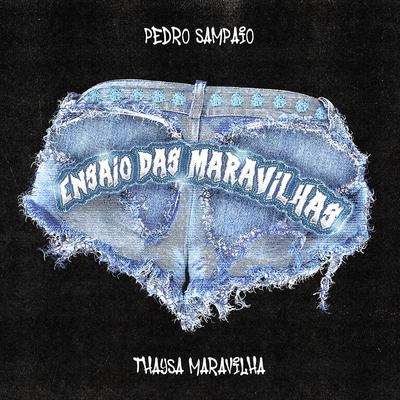 ENSAIO DAS MARAVILHAS's cover