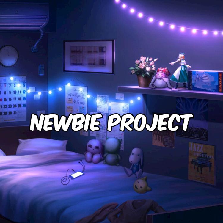 DJ NEWBIE PROJECT's avatar image