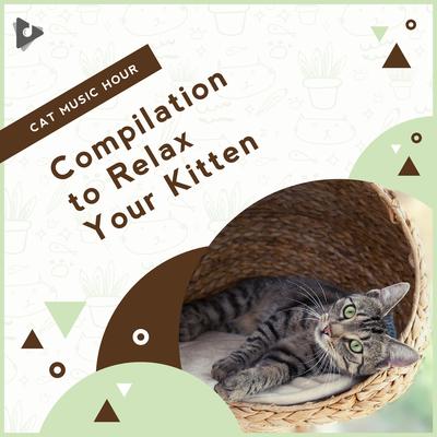 Compilation to Relax Your Kitten's cover