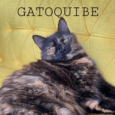 Gatoquibe By Gatoxinha's cover