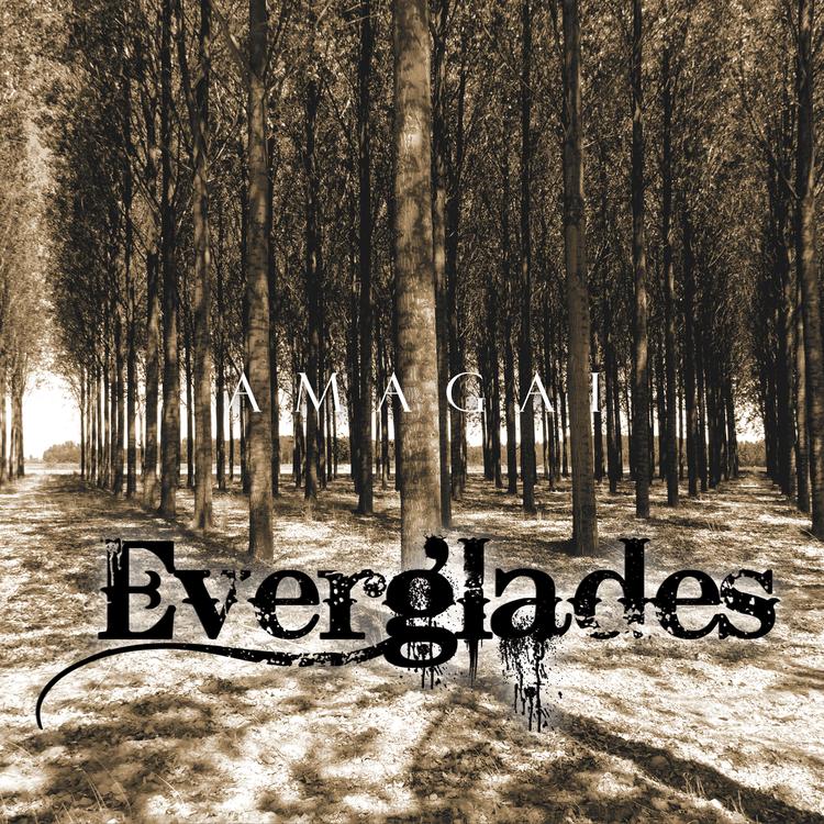 Everglades's avatar image