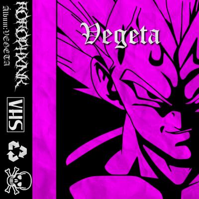 Vegeta's cover