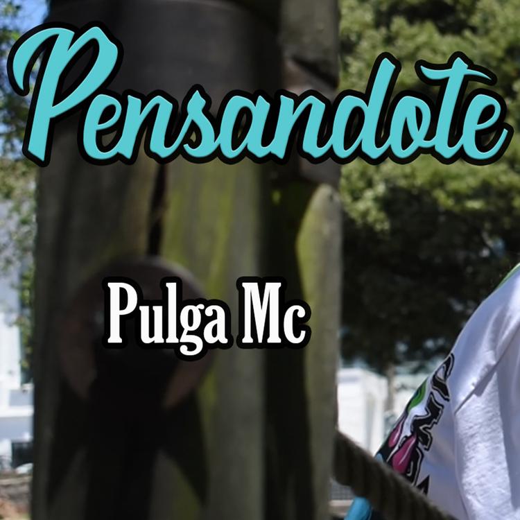 Pulga MC's avatar image