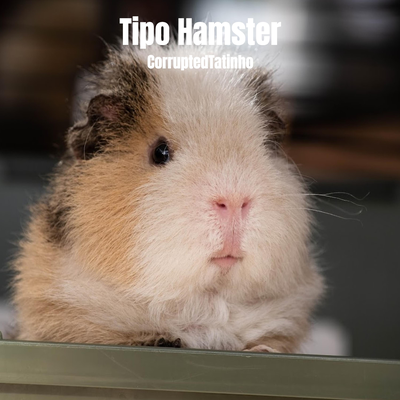 Tipo Hamster's cover