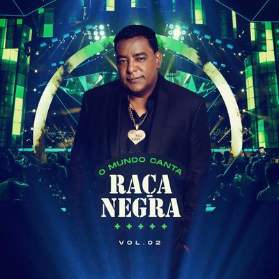 Quando Te Encontrei (Ao Vivo) By Raça Negra's cover