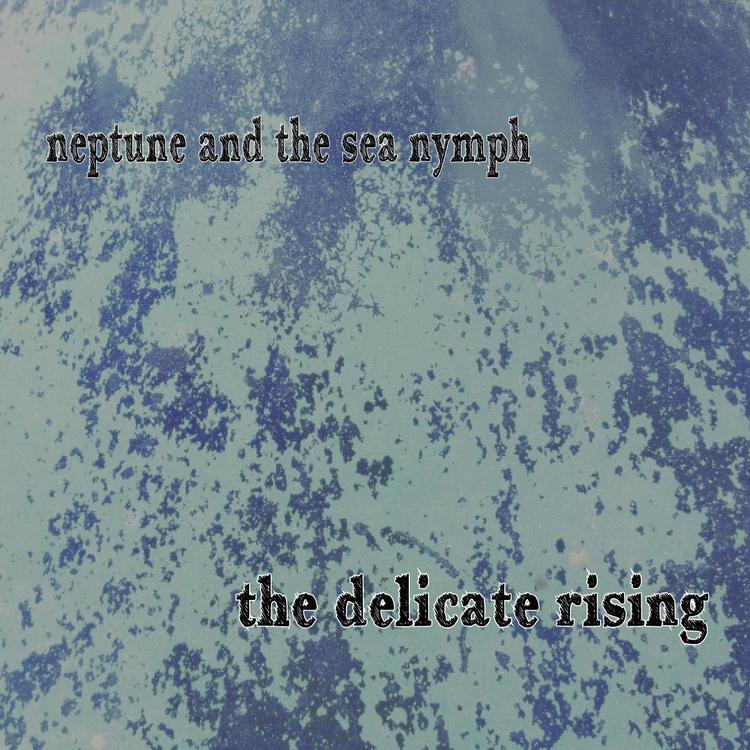 The Delicate Rising's avatar image