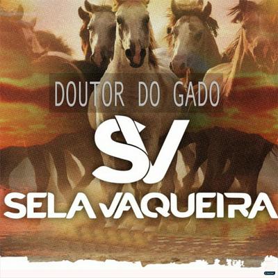 Aboio (feat. Galego Aboiador) (feat. Galego Aboiador) By Sela Vaqueira, Galego Aboiador's cover