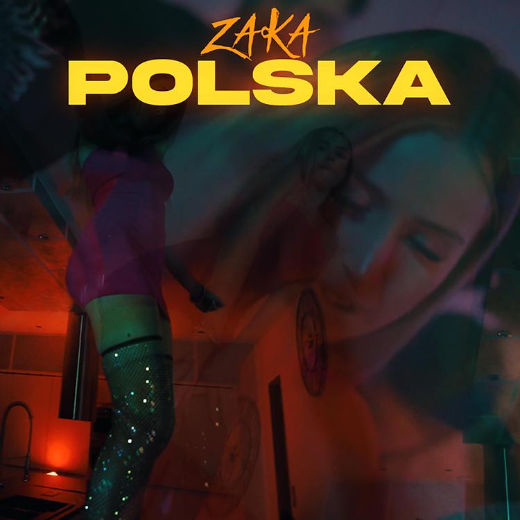 Zaka's avatar image