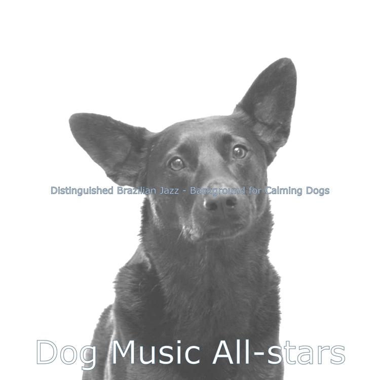 Dog Music All-stars's avatar image