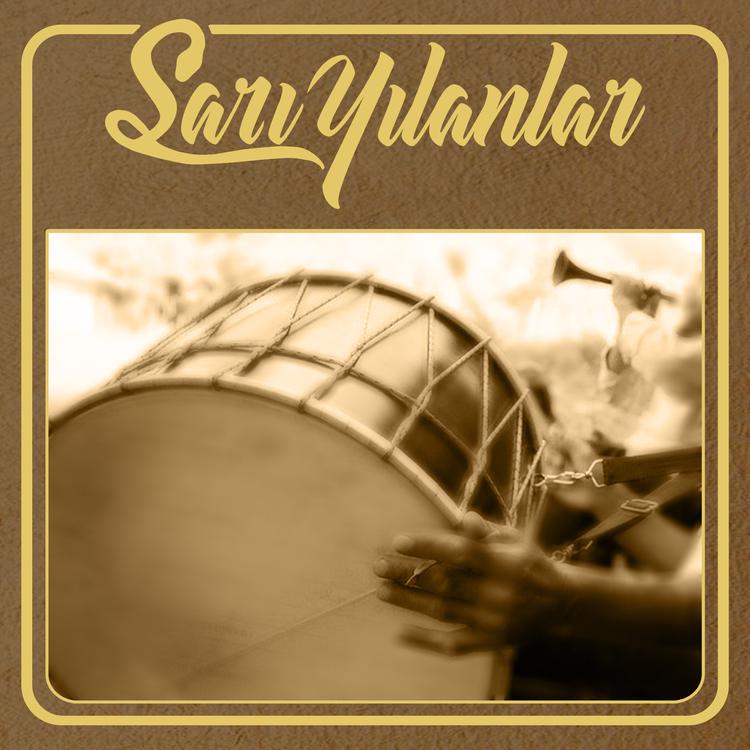 Sarı Yılanlar's avatar image