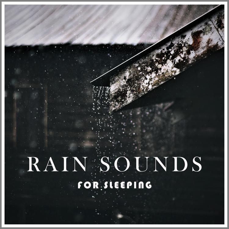 Rain Records Soundscapes BNLXA's avatar image