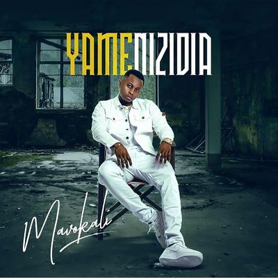 Yamenizidia's cover