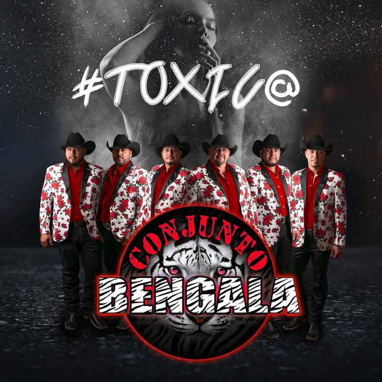 Conjunto Bengala's avatar image