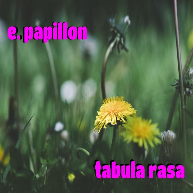 e. papillon's avatar image