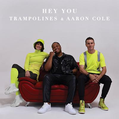 Hey You By Aaron Cole, Trampolines's cover