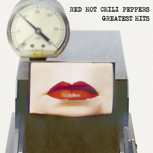 Red Hot Chili Peppers's cover