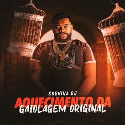 Aquecimento da Gaiolagem Original By Corvina Dj's cover