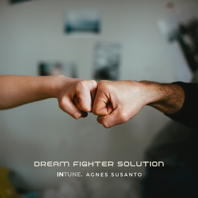 Dream Fighter Solution's cover