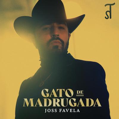 Gato de Madrugada By Joss Favela's cover